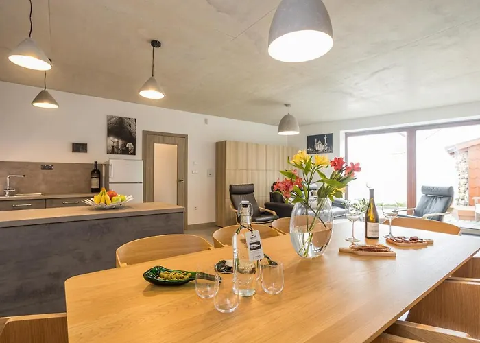 Vinny Apartment Rakovnik